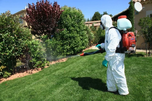 Petaluma Mosquito Control